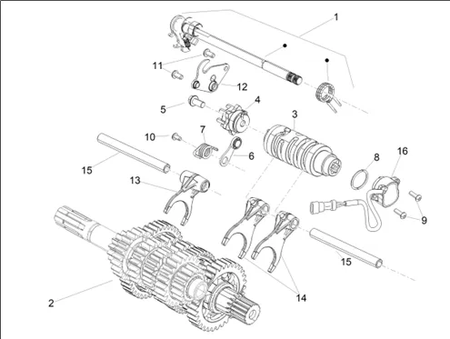 Boîte de vitesses / Selecteur / Desmodromique