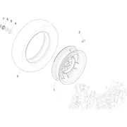 Roue arrière