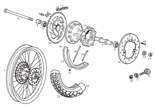 Roue arrière
