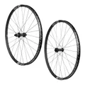 ROUES MTB DISC 29" DT SWISS EX1700 BOOST 6 HOLES BLACK (TUBELESS AND TUBETYPE) COMPATIBLE AXLE 15/110 AND 12/148 CASSETTE 12/11/10-SPEED-RIM WIDTH OUTER 30 mm AND INTERIEURE 25 mm-RESISTE WEIGHT 110KGS
