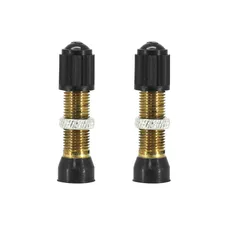 TUBELESS VALVE SCHRADER SILVER 44 mm VALVE CORE REMOVABLE (SOLD AS A PAIR CARDED)