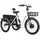 ELECTRIC TRICYCLE/E-BIKE CITY LEADER FOX 24" LOVELO 2025 UNISEX WHITE GLOSS 3-SPEED SHIMANO NEXUS HUB MOTOR AV BAFANG 36-SPEED 45NM BATTERY 16,7AH (WITH DIFFERENTIEL)