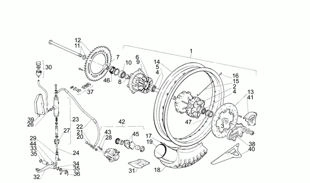Roue arrière