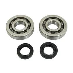 ADAPTABLE CRANKSHAFT BEARING + GASKET SCOOTER P2R PIAGGIO 50 ZIP 2-STROKE, TYPHOON, NRG/GILERA 50 STALKER, RUNNER (KIT SC04A47CS TPI STEEL C4/GASKET NITRILE)