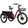 ELECTRIC TRICYCLE/E-BIKE CITY LEADER FOX 24" CURTIS X 2025 UNISEX BORDEAUX 8-SPEED SHIMANO NEXUS HUB MOTOR AV BAFANG 36-SPEED 45NM BATTERY 16,7AH (WIDTH HORS ALL 75 cm, DEBATTEMENT 50 mm) -HOUSSE ANTI PLUIE