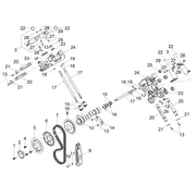 Distribution