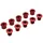 CHAINRING BOLT SET ALUMINIUM NEWTON RED DOUBLE CHAINRING (SET OF 5) - CHAINRING BOLT AND NUT