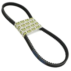 COURROIE CYCLO ADAPTABLE MBK/MOTOBECANE 50 CADY (762 x 13,5) -SELECTION P2R