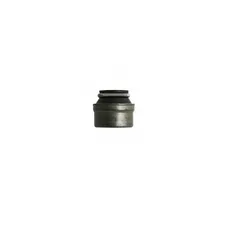 GASKET/BUSH OF VALVE OEM PIAGGIO COMMON A LA RANGE-436438